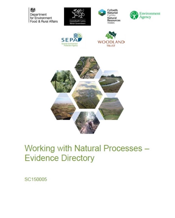 Working with Natural Processes