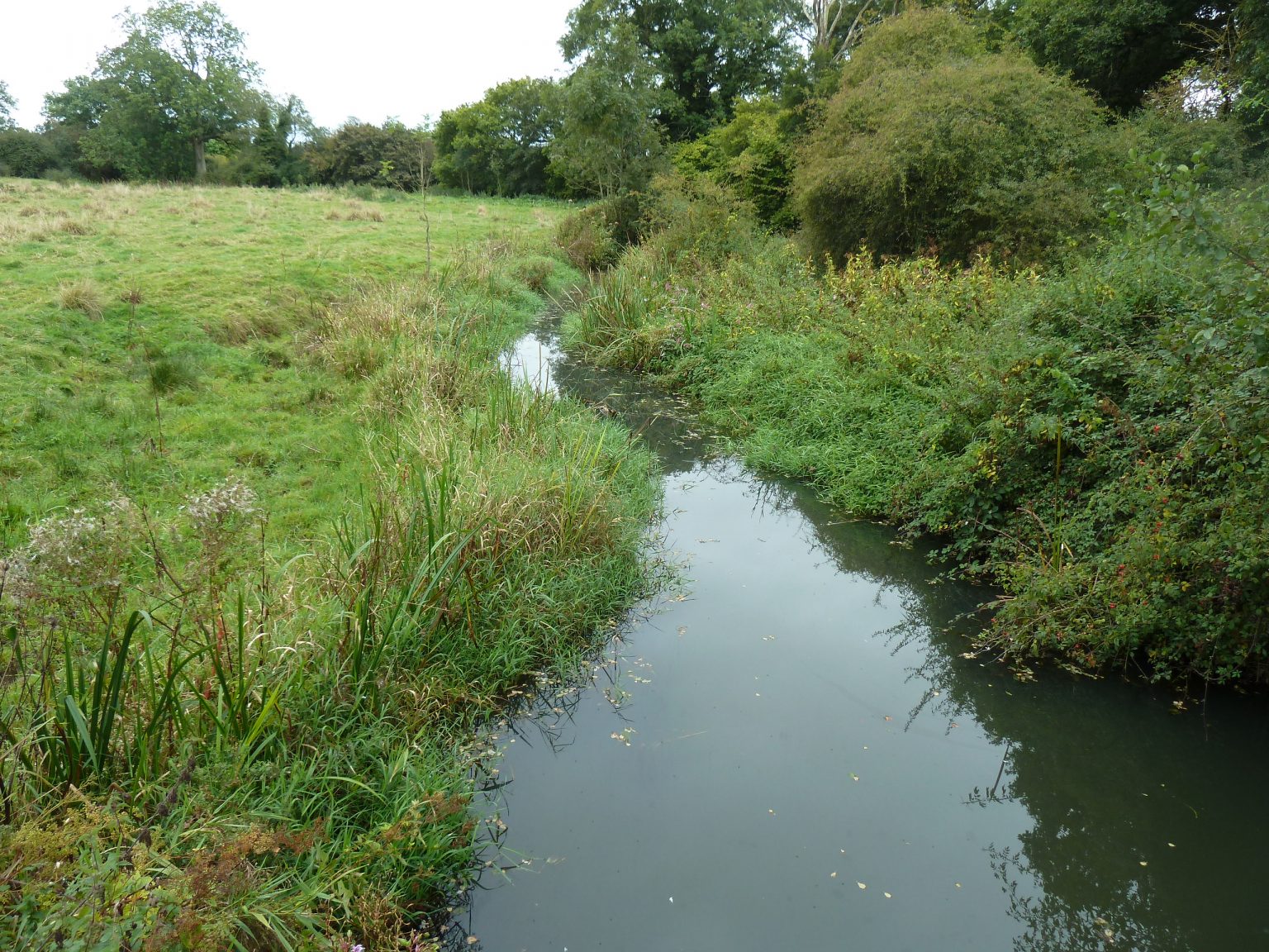 Walkover Surveys - Adur and Ouse Partnership