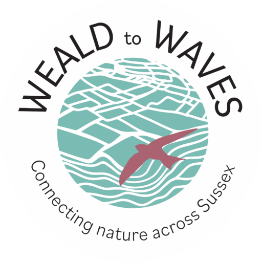 Weald to Waves